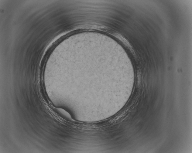 X0000084011020200703161708