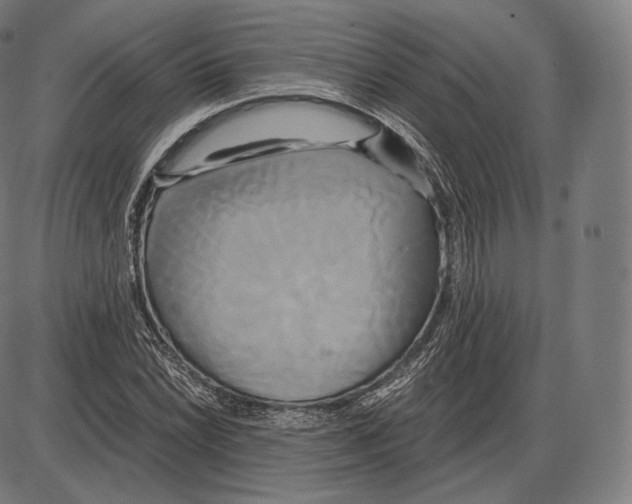 X0000084011022200703161708