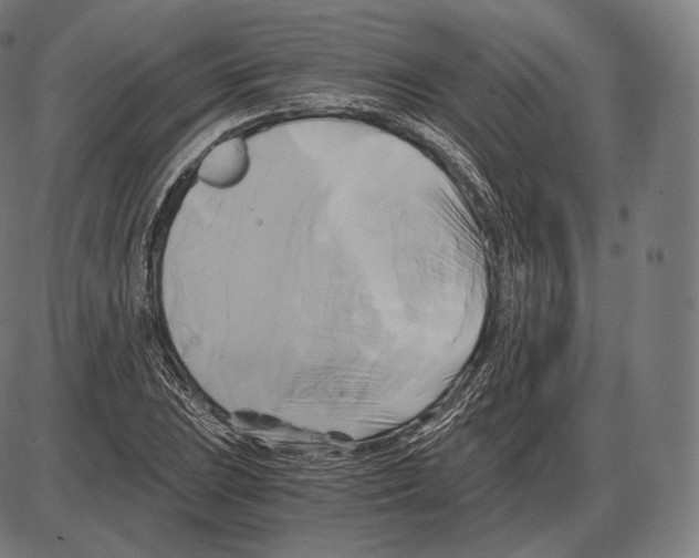 X0000084011023200703161708