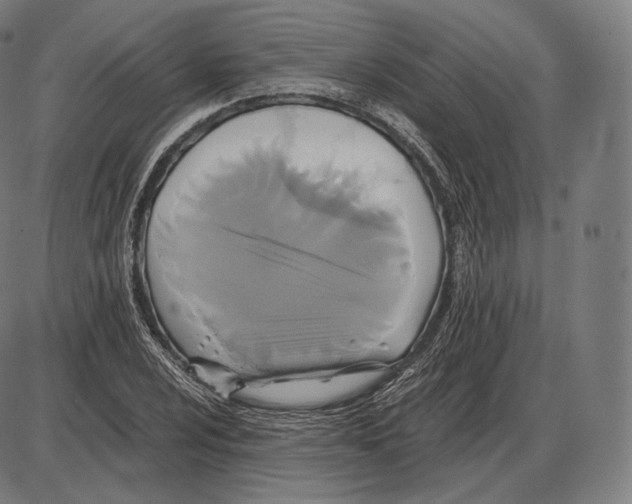 X0000084011024200703161708