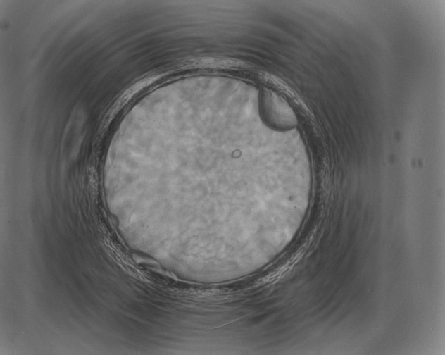 X0000084011025200703161708