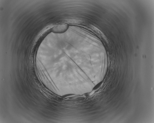 X0000084011027200703161708