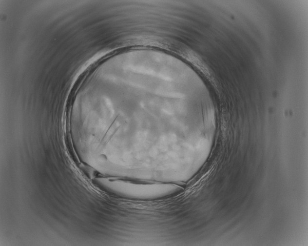 X0000084011028200703161708