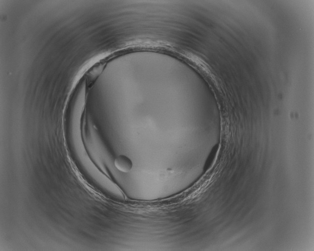 X0000084011030200703161708