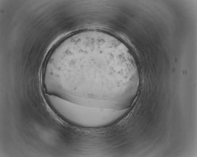 X0000084011032200703161708