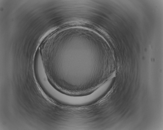 X0000084011034200703161708