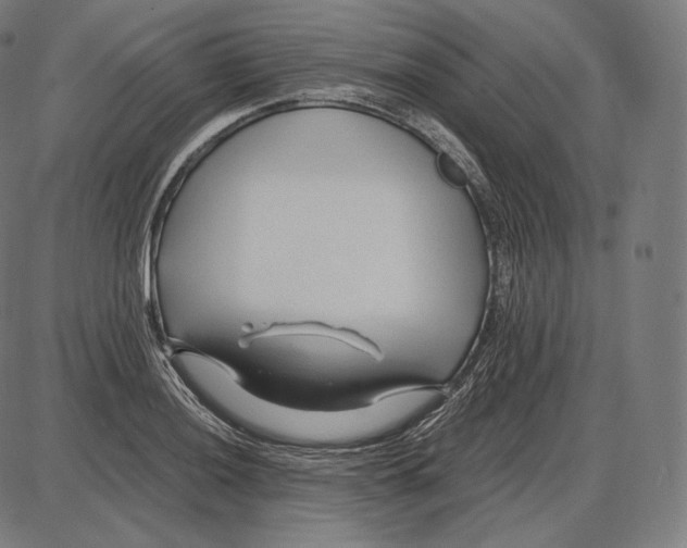 X0000084011036200703161708