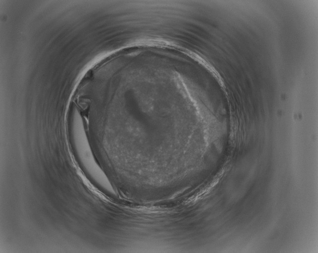 X0000084011037200703161708