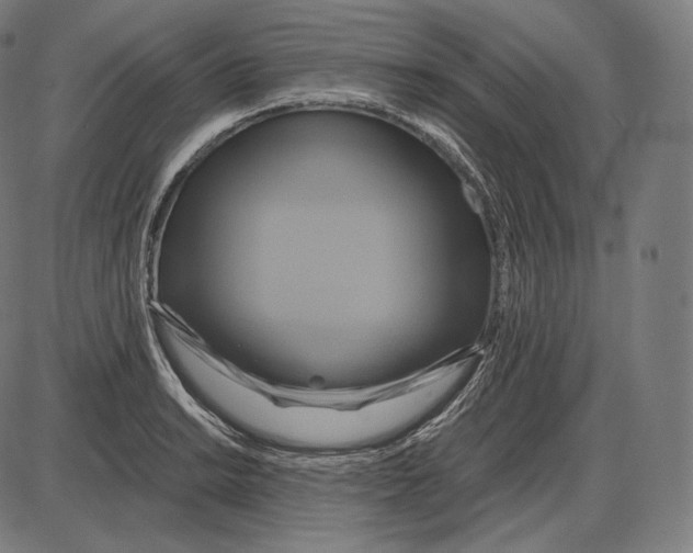 X0000084011038200703161708