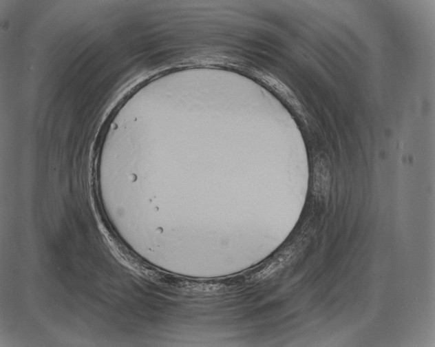 X0000084011039200703161708