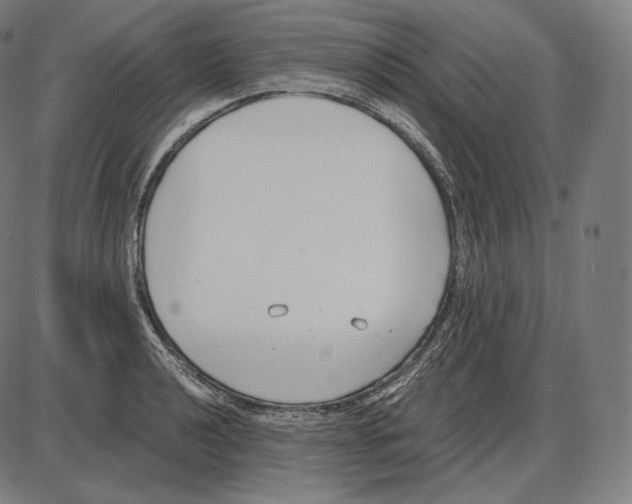 X0000084011040200703161709