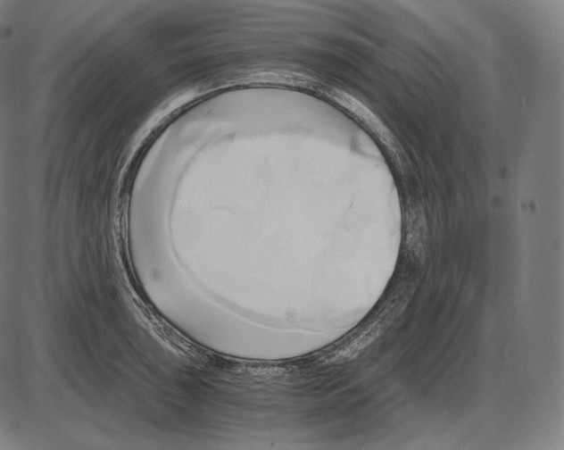 X0000084011043200703161709