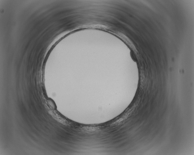 X0000084011044200703161709