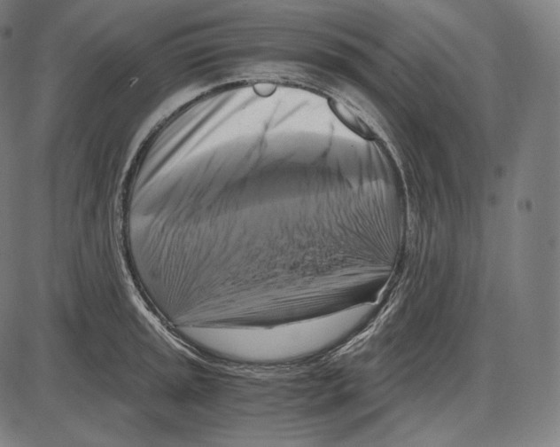 X0000084011045200703161709