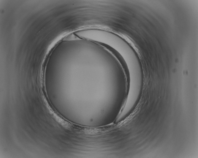 X0000084011046200703161709