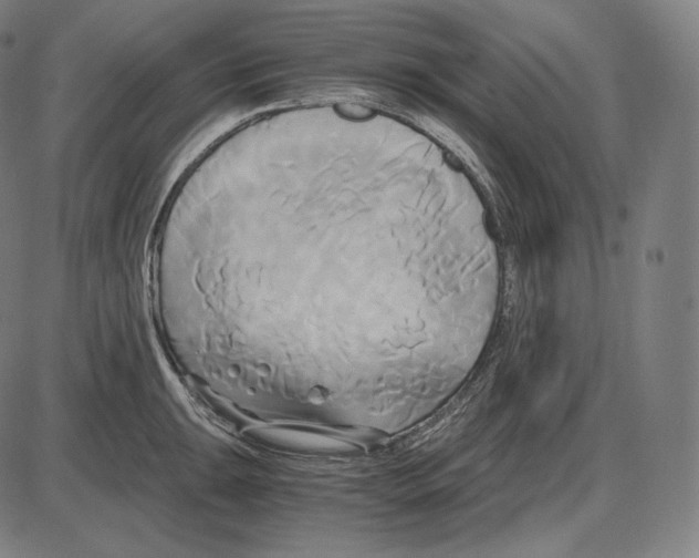 X0000084011047200703161709