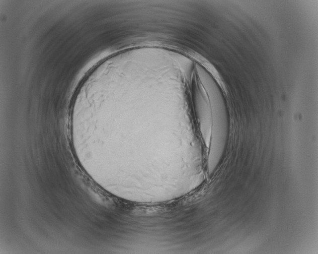 X0000084011051200703161709