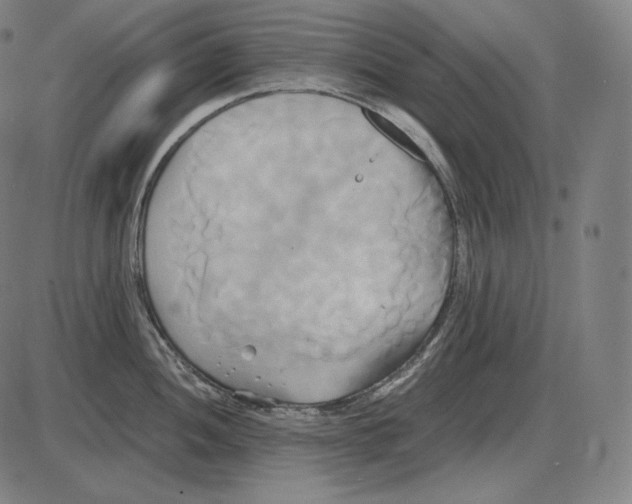 X0000084011052200703161709