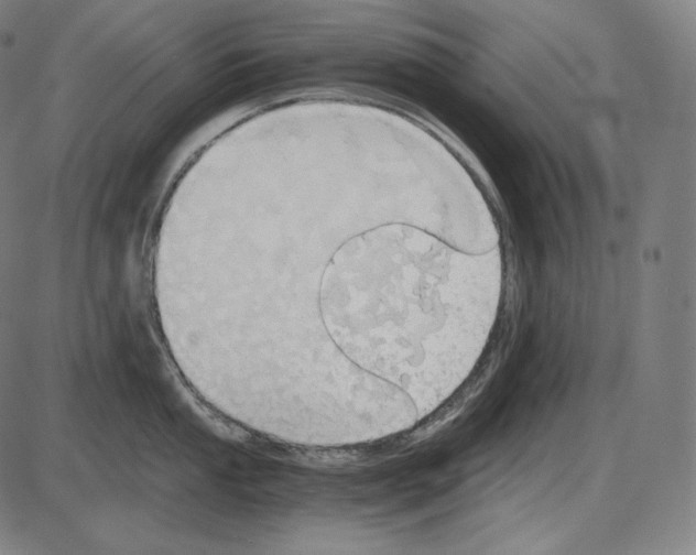 X0000084011053200703161709