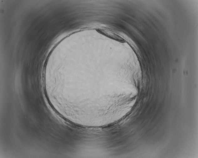 X0000084011055200703161709