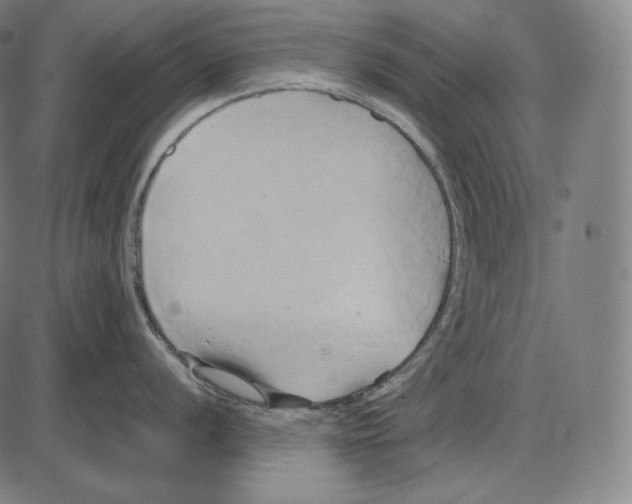 X0000084011056200703161709