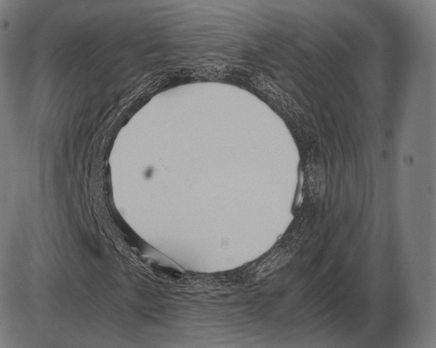 X0000084011057200703161708