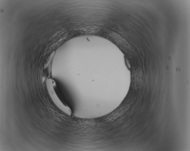 X0000084011058200703161708