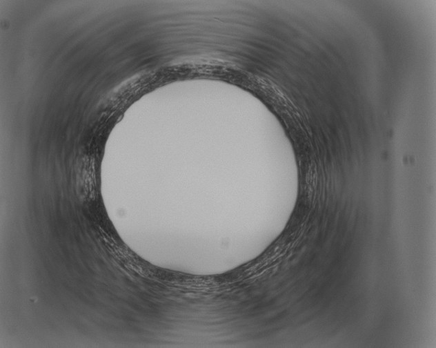 X0000084011062200703161708