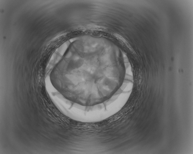 X0000084011063200703161708