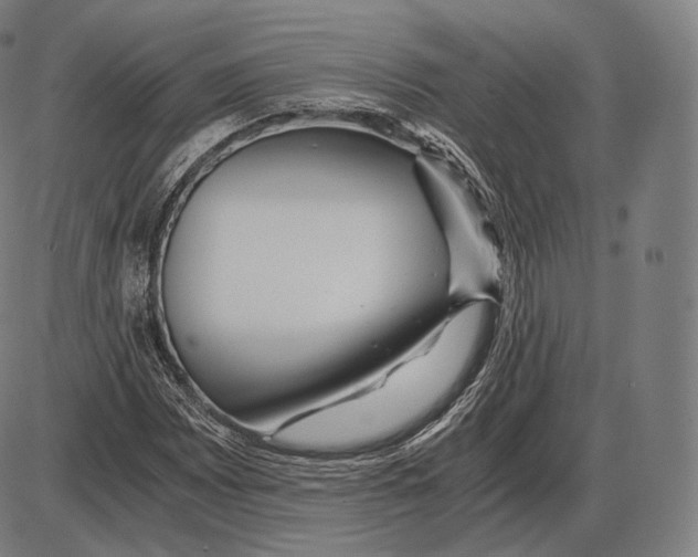 X0000084011065200703161708