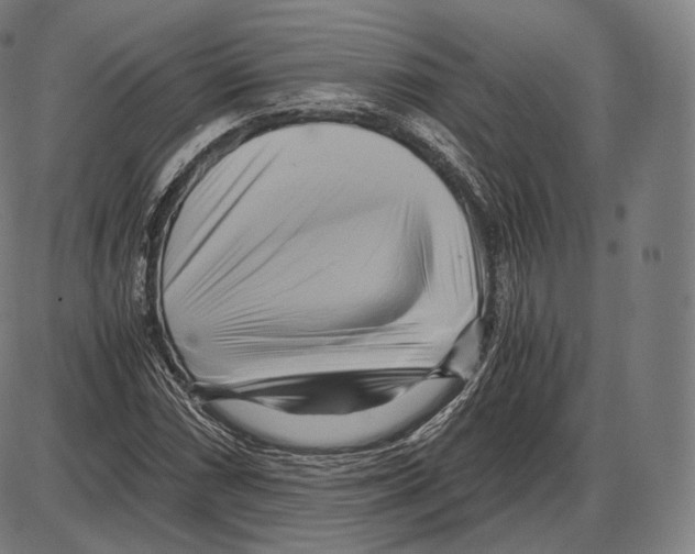 X0000084011066200703161708