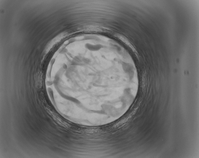 X0000084011067200703161708