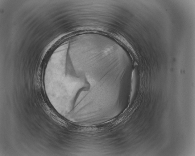 X0000084011068200703161708