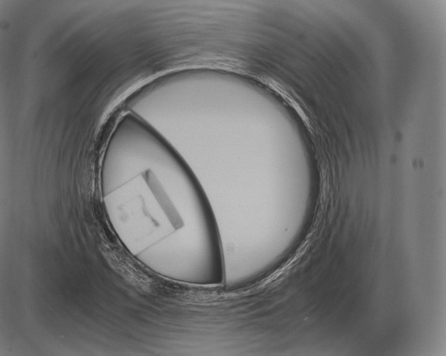 X0000084011069200703161708