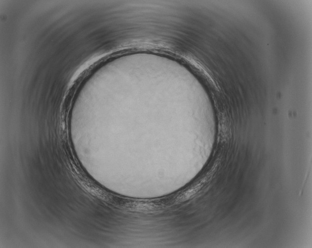 X0000084011070200703161708