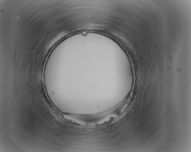 X0000084011073200703161708