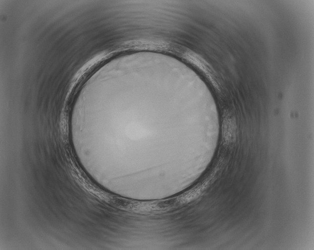 X0000084011074200703161708