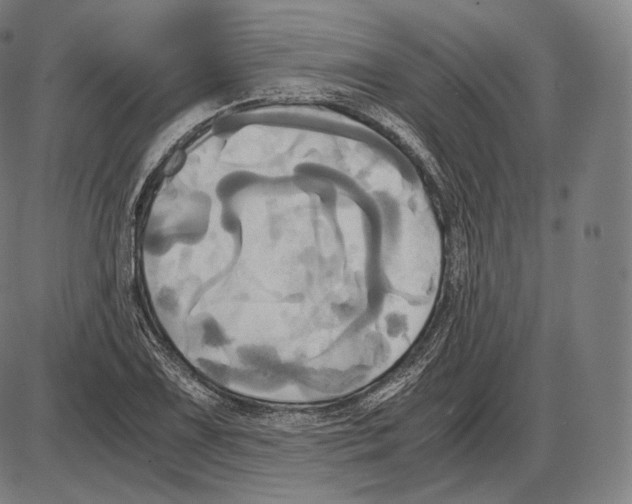 X0000084011075200703161708