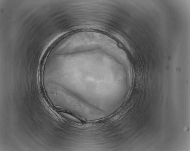 X0000084011076200703161708