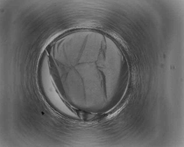 X0000084011077200703161708