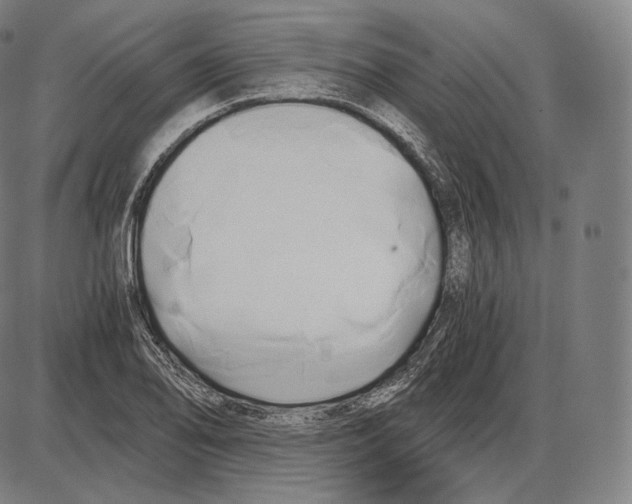 X0000084011078200703161708