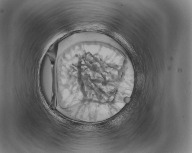 X0000084011079200703161708