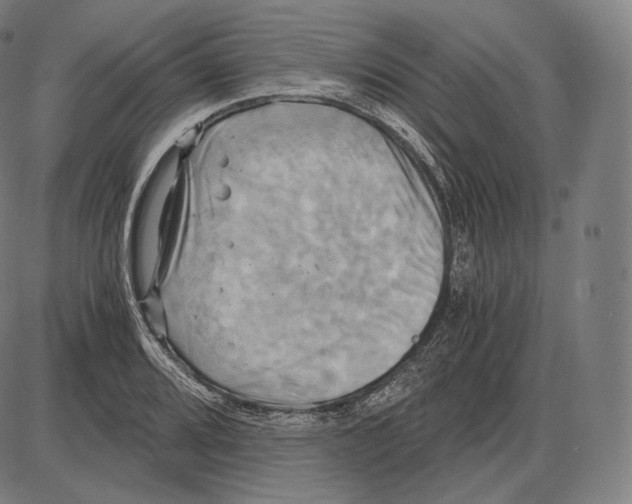 X0000084011080200703161708