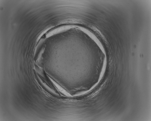 X0000084011081200703161708