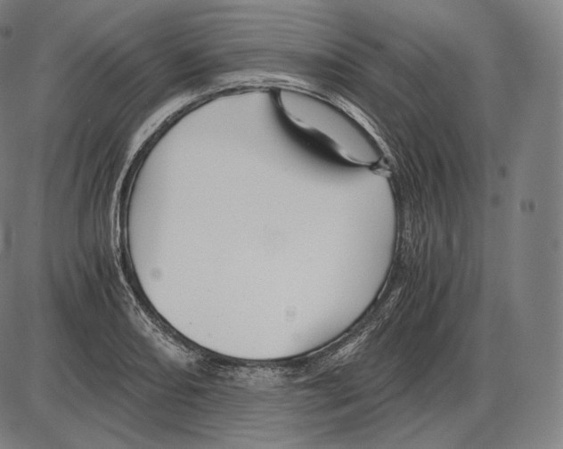 X0000084011082200703161708