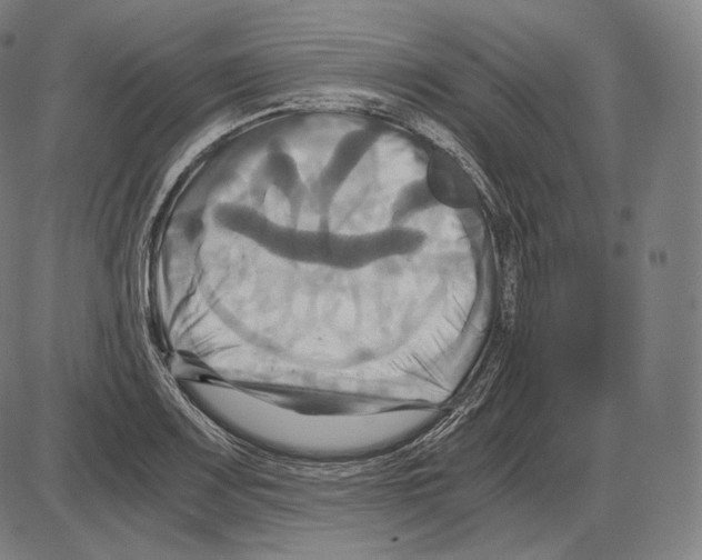 X0000084011083200703161708