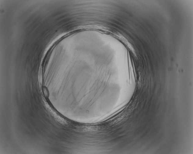 X0000084011084200703161708