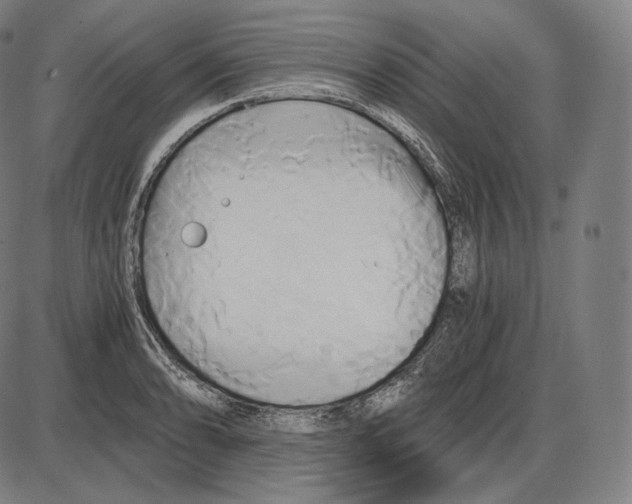 X0000084011086200703161708