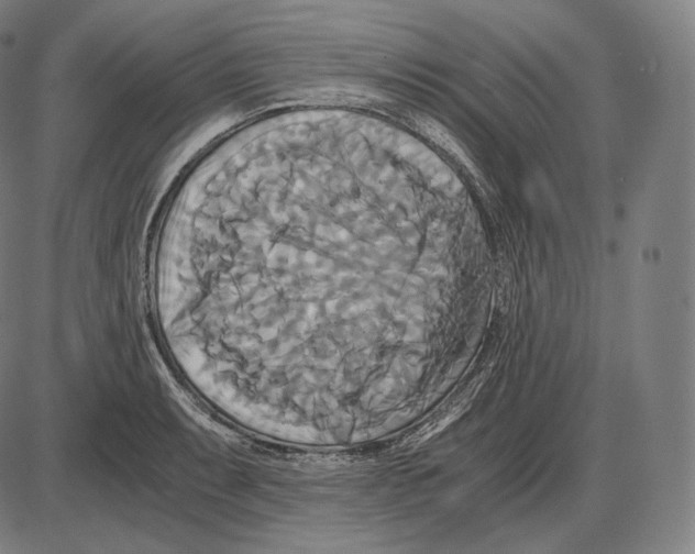 X0000084011087200703161707