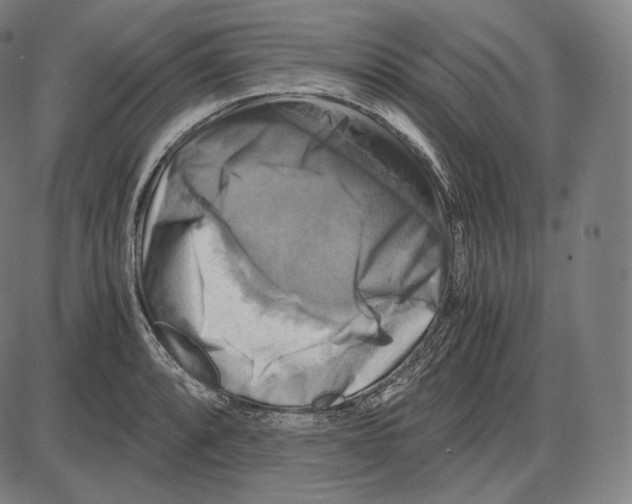 X0000084011088200703161707